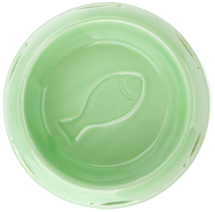 Bowl Image