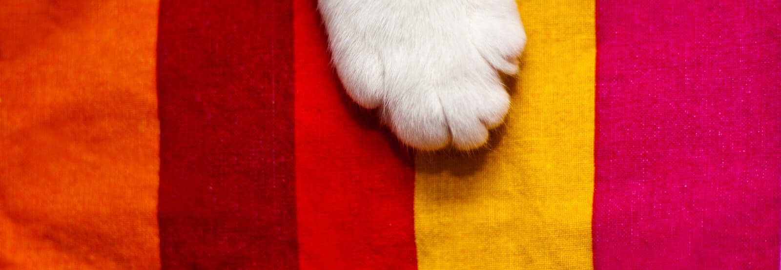 q3