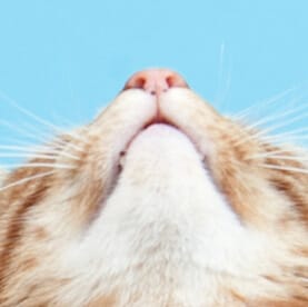 s2